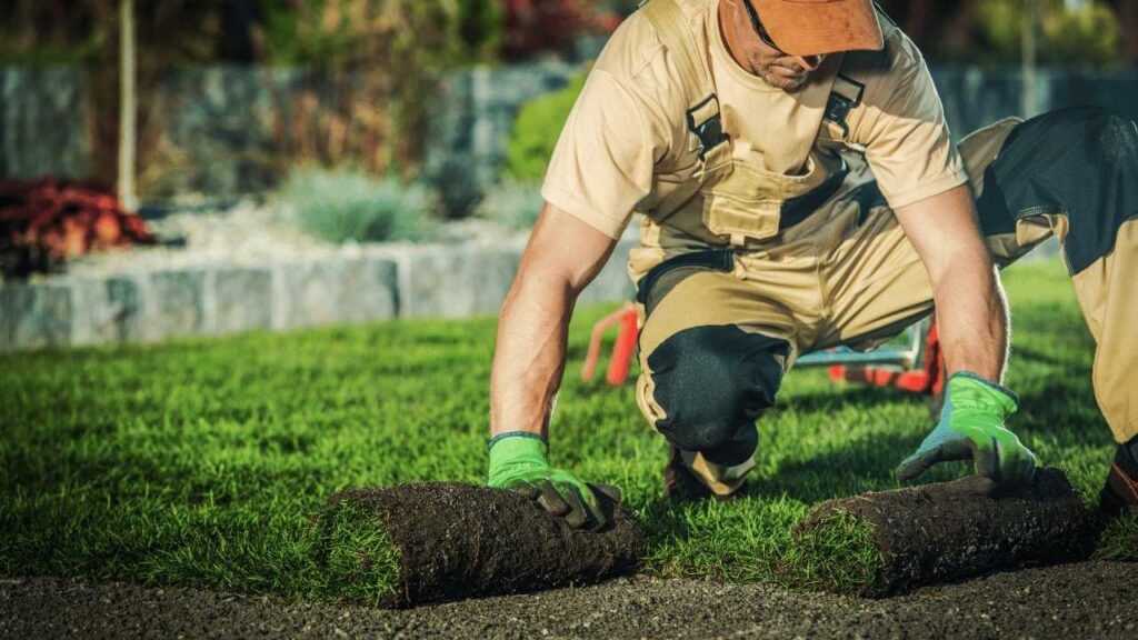 Gardening and Landscaping