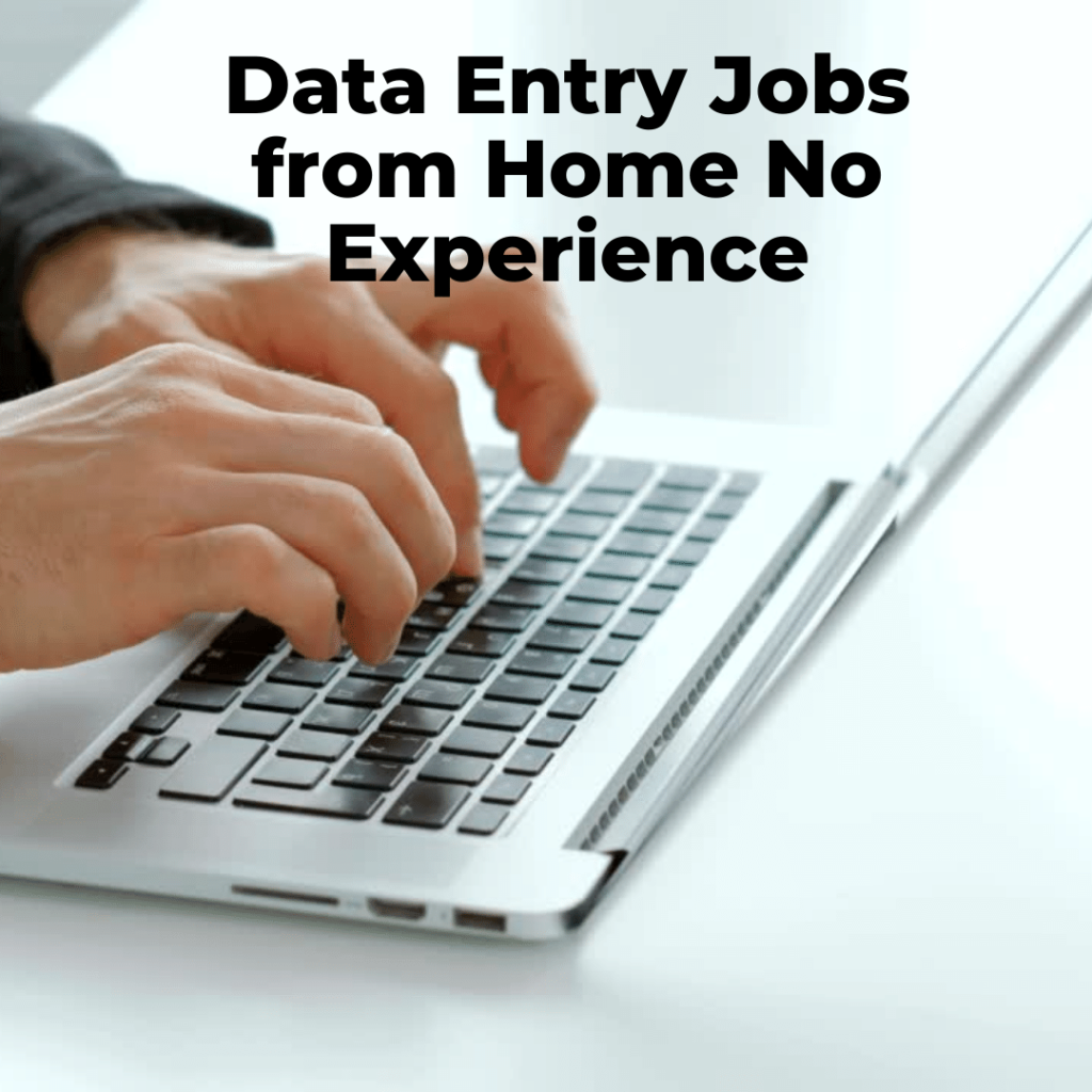 Data Entry Jobs from Home No Experience Dollar Catalyst