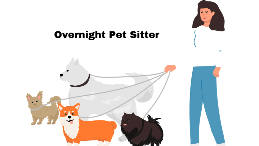 Overnight Pet Sitter